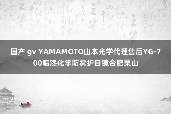国产 gv YAMAMOTO山本光学代理售后YG-700喷漆化学防雾护目镜合肥栗山