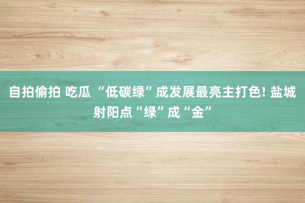 自拍偷拍 吃瓜 “低碳绿”成发展最亮主打色! 盐城射阳点“绿”成“金”