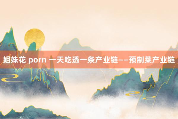 姐妹花 porn 一天吃透一条产业链——预制菜产业链