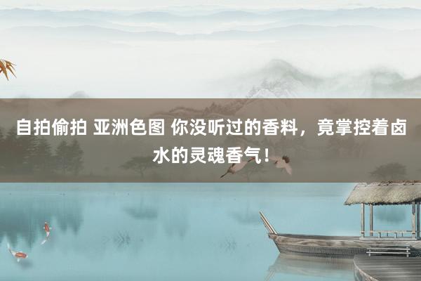 自拍偷拍 亚洲色图 你没听过的香料，竟掌控着卤水的灵魂香气！