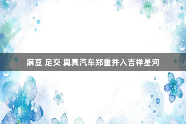 麻豆 足交 翼真汽车郑重并入吉祥星河
