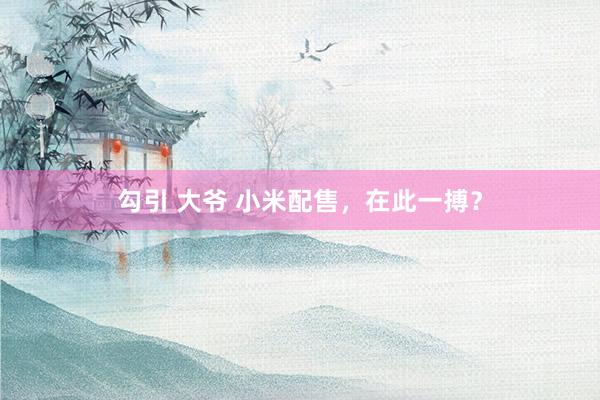 勾引 大爷 小米配售，在此一搏？